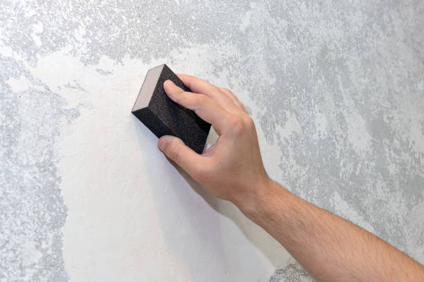 Best Mold-Related Health Consultation  in Sweet Home, OR