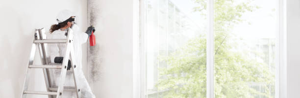 Best Residential Mold Inspection & Testing  in Sweet Home, OR