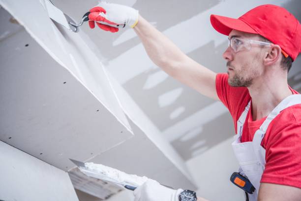 Best Mold Damage Restoration  in Sweet Home, OR